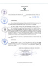 Vista preliminar de documento RES-272-2024-GR