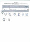 Vista preliminar de documento Anexo N° 092-2017-DV-PE