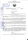 Vista preliminar de documento R.D 1063-2024