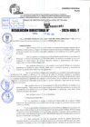 Vista preliminar de documento R.D 1064-2024