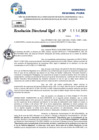 Vista preliminar de documento Resolucion Directoral N° 003313-2024
