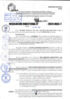 Vista preliminar de documento R.D 1065-2024