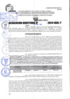 Vista preliminar de documento R.D 1068-2024