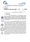 Vista preliminar de documento Resolucion Directoral N° 003320-2024