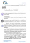 Vista preliminar de documento Resolucion Directoral N° 003321-2024