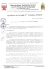 Vista preliminar de documento resolución 118