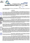 Vista preliminar de documento Resolucion Directoral N° 003329-2024