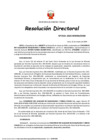 Vista preliminar de documento RD 161-2024-MINEM-DGM