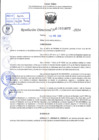 Vista preliminar de documento R.D 1077-2024