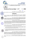 Vista preliminar de documento Resolucion Directoral N° 003340-2024