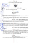 Vista preliminar de documento R.D 1079-2024