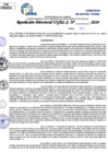 Vista preliminar de documento Resolucion Directoral N° 003345-2024