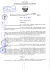 Vista preliminar de documento R.D 1081-2024
