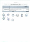 Vista preliminar de documento Anexo N° 095-2017-DV-PE