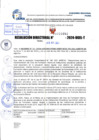 Vista preliminar de documento R.D 1091-2024