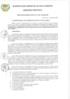Vista preliminar de documento RGM 206-2024