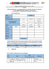 Vista preliminar de documento 20240520_9360_Ficha_de_Monitoreo_y_Acompañamiento_al_d