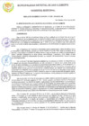 Vista preliminar de documento RGM 208-2024