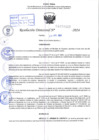 Vista preliminar de documento R.D 1117-2024