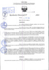 Vista preliminar de documento R.D 1119-2024