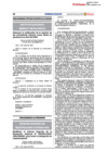 Vista preliminar de documento RP-048-2024-PE