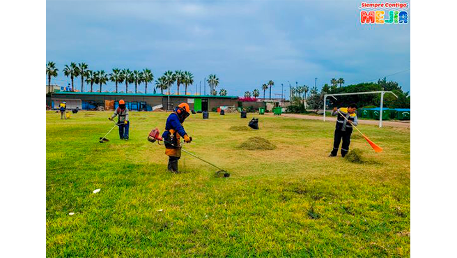Continúan los trabajos de mantenimiento de las áreas verdes en el Estadio Municipal