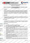 Vista preliminar de documento RDE_068-2024-MTC_24 [F]_Anexo