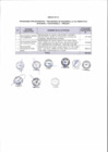 Vista preliminar de documento ANEXO RPE N° 110-2017-DV-PE