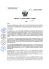 Vista preliminar de documento PLAN DE AUTOEVALUACIÓN PARA LA ACREDITACION 2024 - RD N° 91