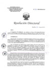 Vista preliminar de documento RD N°101-2024-DG-HEJCU