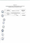 Vista preliminar de documento Anexo N° 115-2017-DV-PE