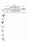 Vista preliminar de documento Anexo N° 118-2017-DV-PE