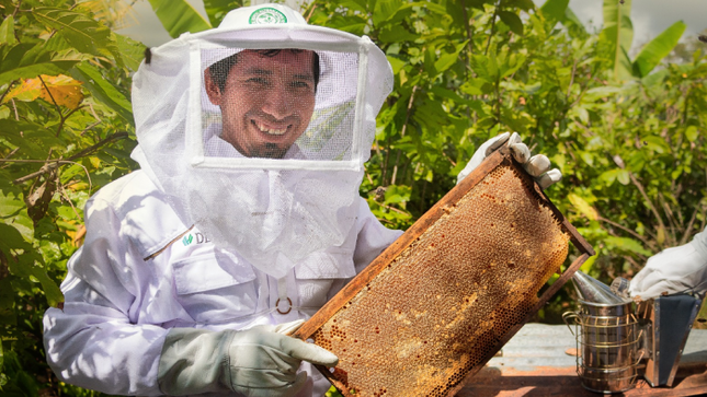 Vraem: Apicultores promovidos por Devida producirán más de 10 mil kilos de miel de abeja