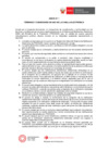 Vista preliminar de documento Términos y Condiciones de Uso de Casilla Electrónica