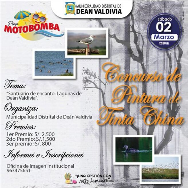 CONCURSO