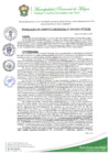 Vista preliminar de documento RESOLUCION DE GERENCIA MUNICIPAL N° 0196-2024-MPM-GM