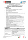 Vista preliminar de documento BASES - CAS 022-2024