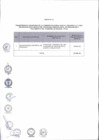 Vista preliminar de documento Anexo N° 121-2017-DV-PE