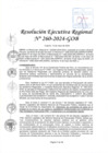Vista preliminar de documento RER 260-2024-GOB