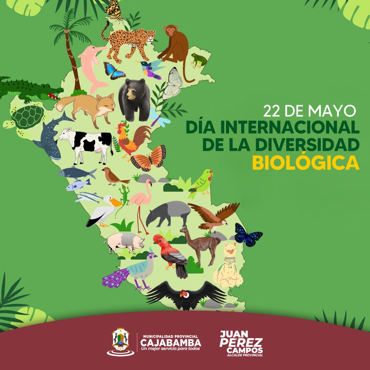 Día internacional de la diversidad biológica