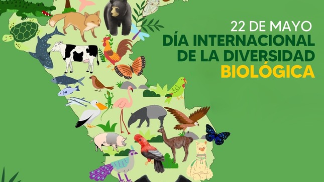 Día internacional de la diversidad biológica