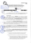 Vista preliminar de documento R.D 1134-2024