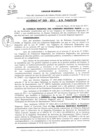 Vista preliminar de documento Acuerdo de Consejo Regional N°029-2011