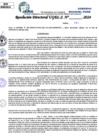 Vista preliminar de documento Resolucion Directoral N° 003397-2024