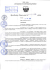 Vista preliminar de documento R.D 1136-2024
