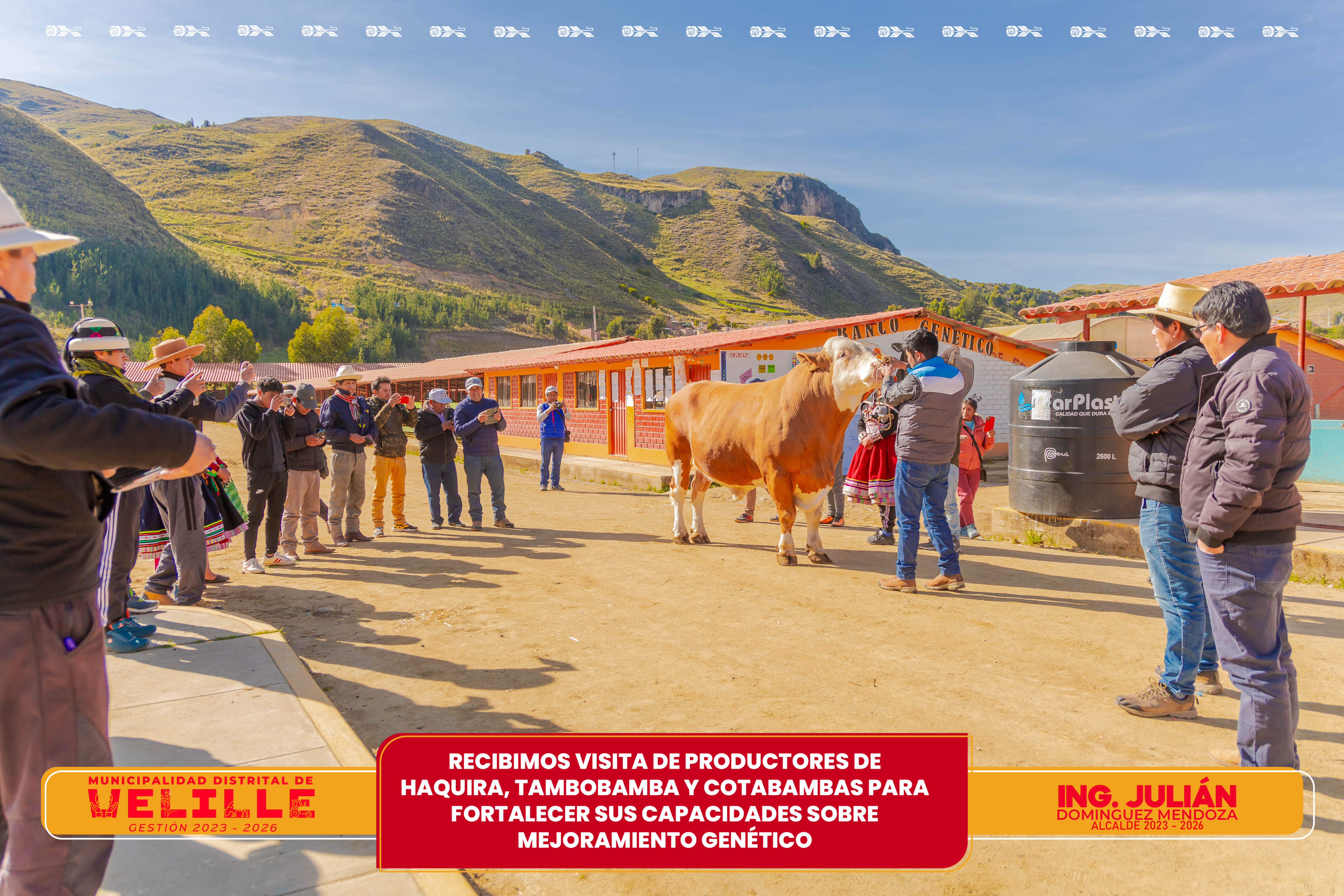 Distrito de Velille recibe visita de productores de Haquira, Tambobamba y Cotabambas para fortalecer sus capacidades en mejoramiento genétic