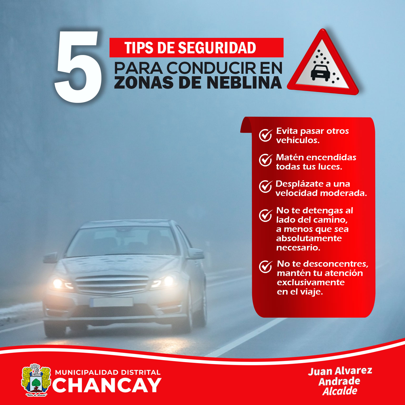 noticia 313