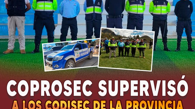 COPROSEC supervisó a los CODISEC de la provincia