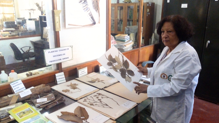 Día de la Diversidad Biológica: Conoce a tres investigadoras peruanas guardianas de la flora y fauna del Perú