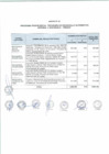 Vista preliminar de documento Anexo N° 125-2017-DV-PE
